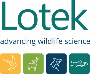 Lotek logo